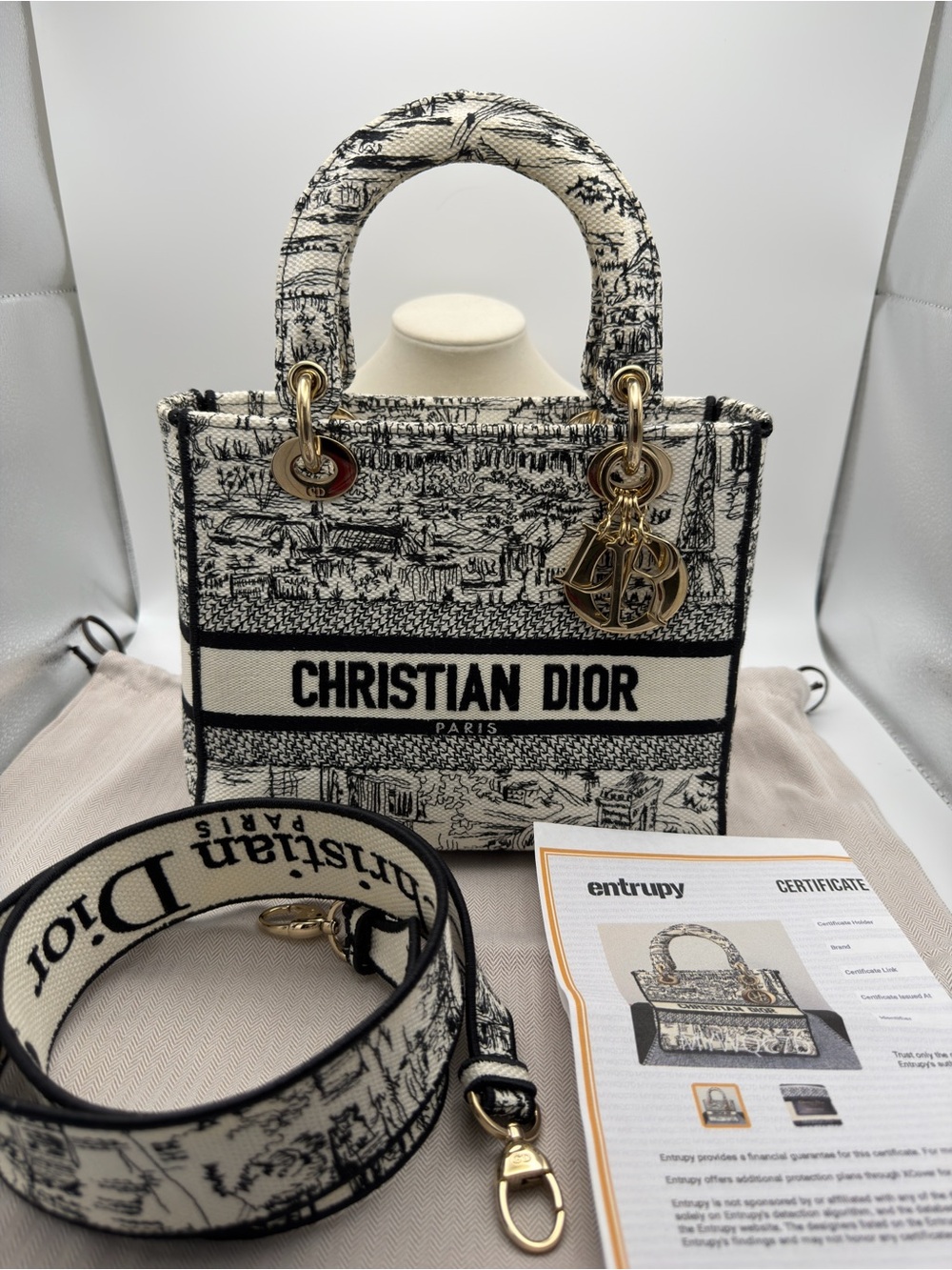 Dior Plan de Paris Medium Lady D-Lite Bag Black & White Embroidered Canvas COA
